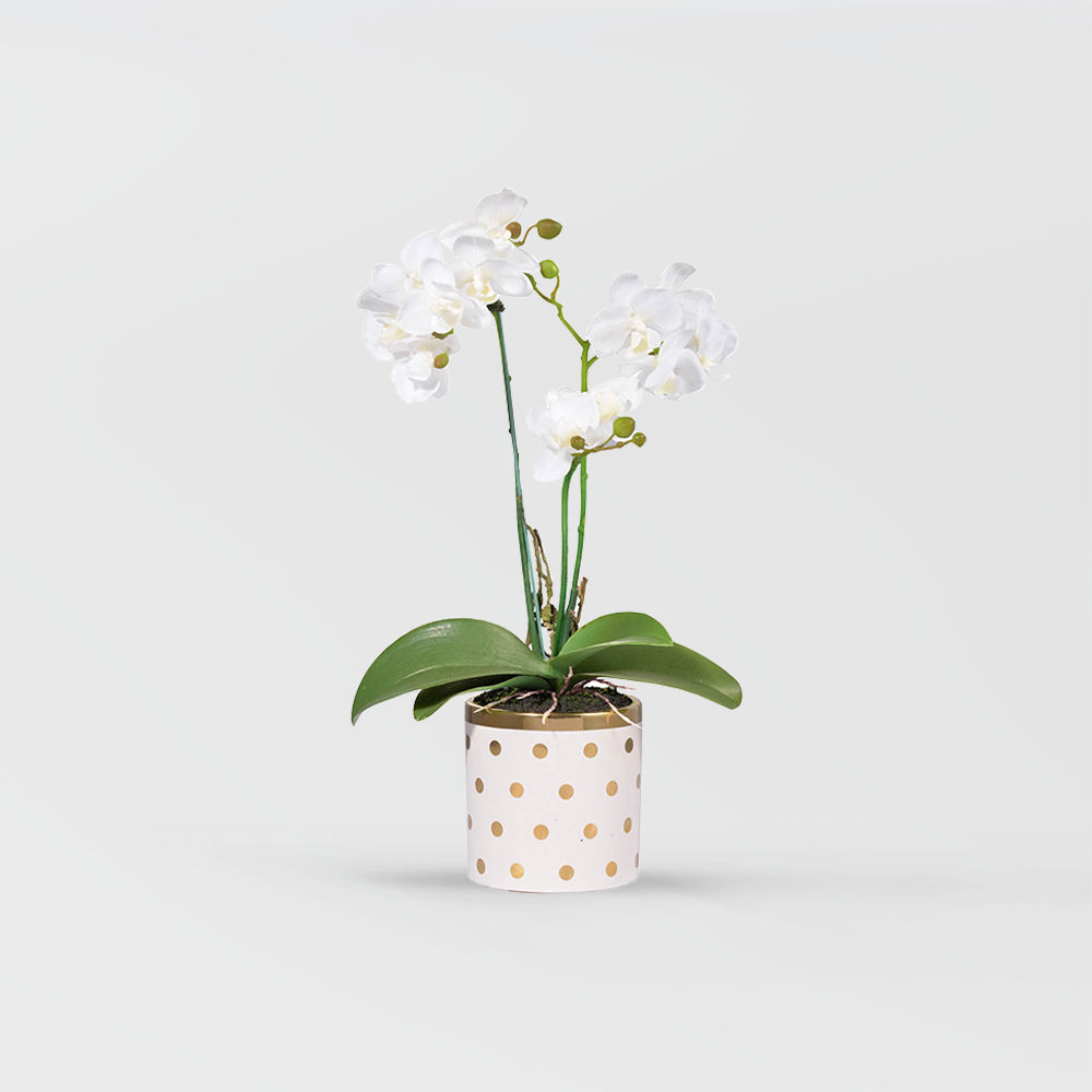 White & Golden Polyester Home Accessories