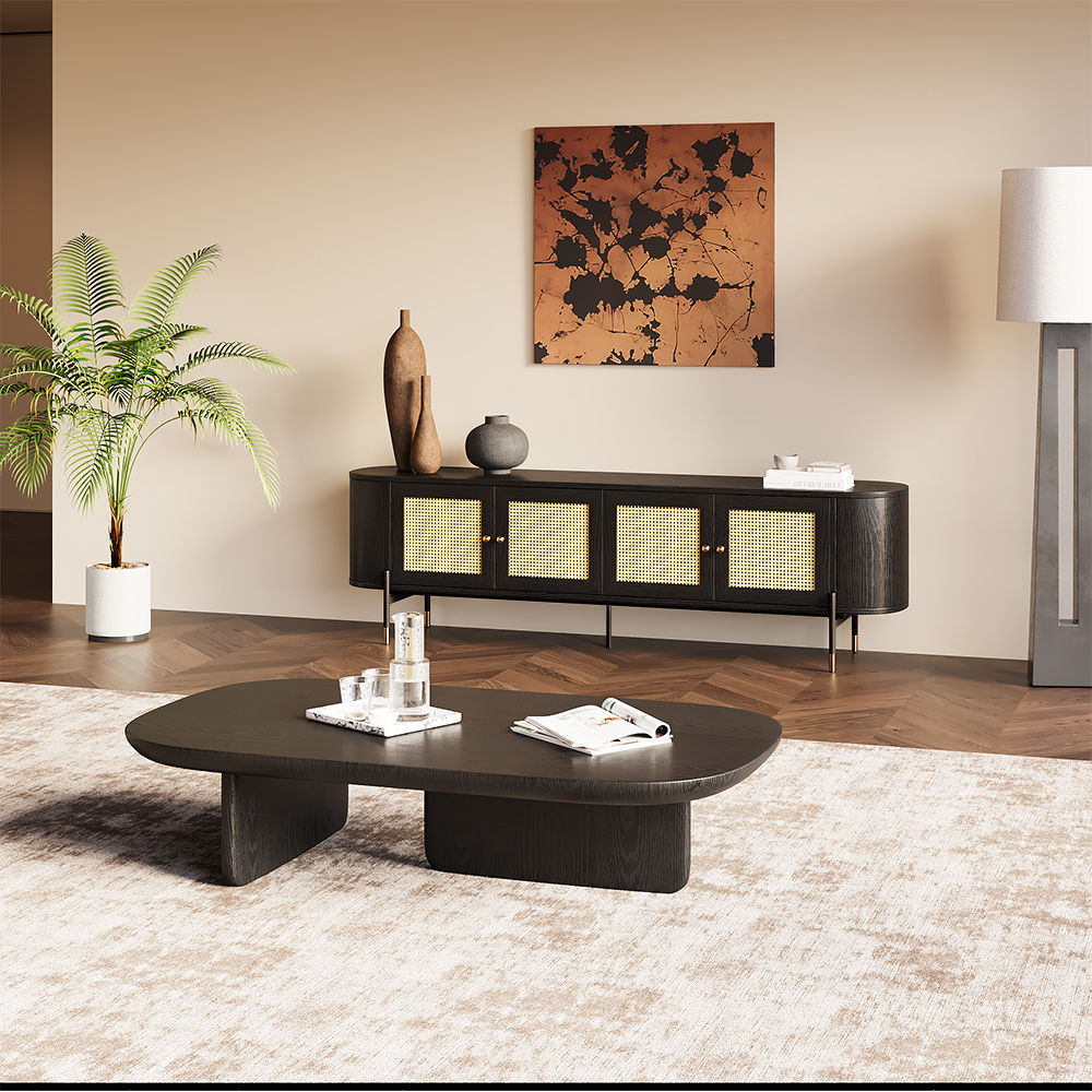 with Cabinets Black MDF TV Stands