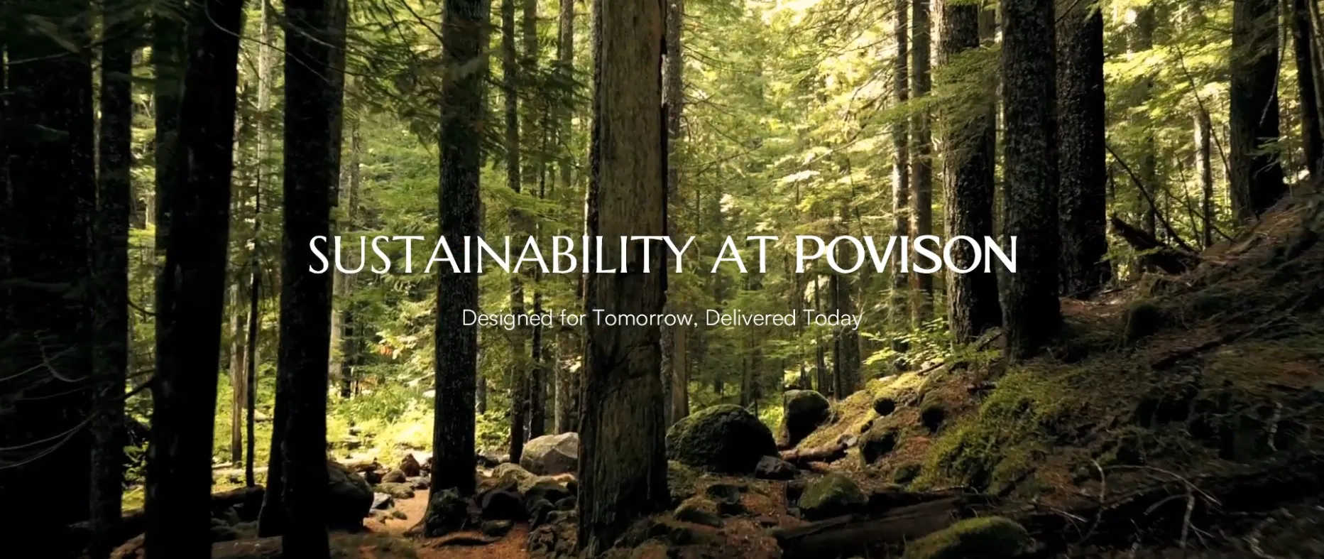 video poster