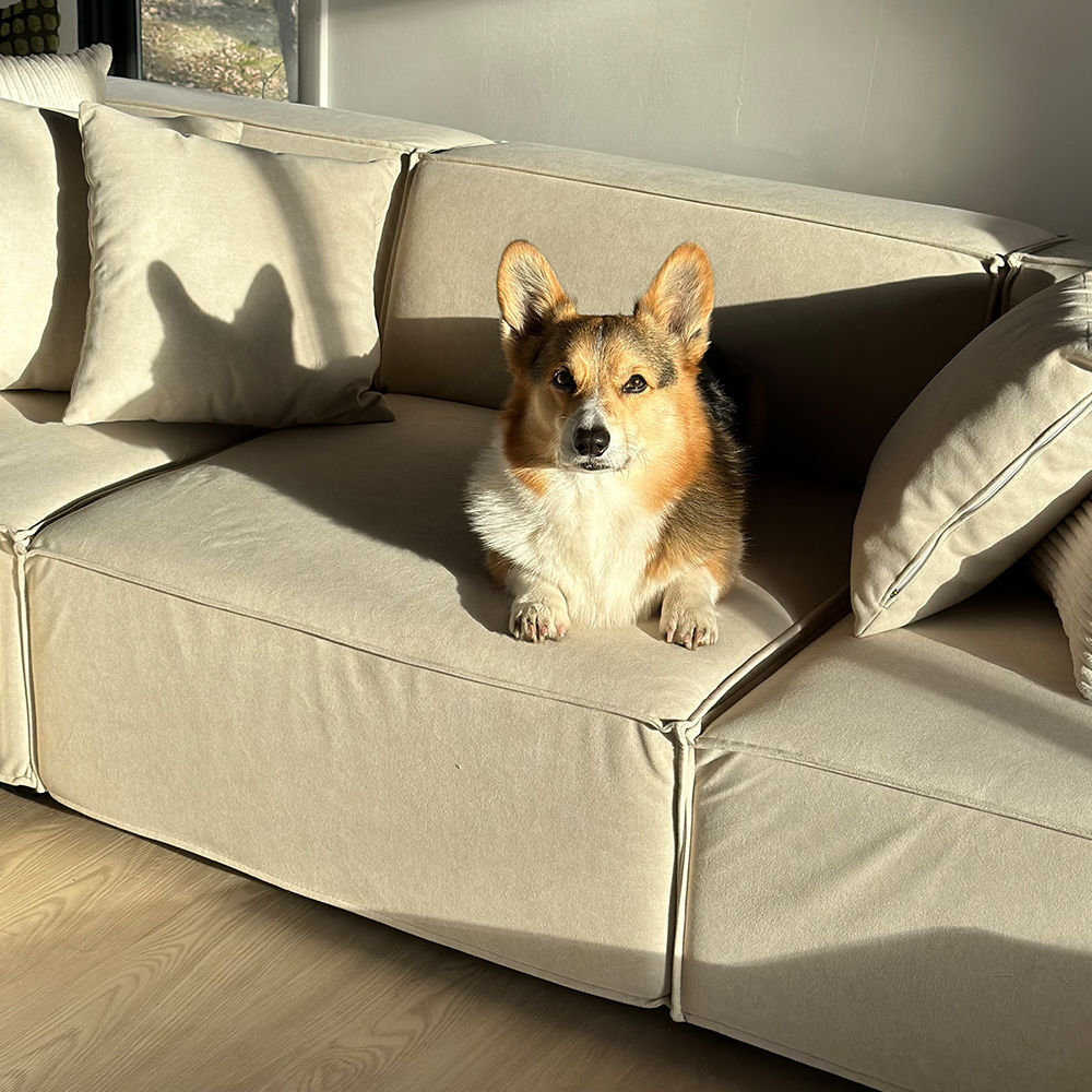 Partly Assemble Beige Fabric Modular Sofas
