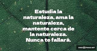 Estudia la naturaleza, ama la naturaleza, mantente cerca de la naturaleza. Nunca te fallará.