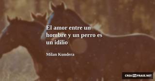 El amor entre un hombre y un perro es un idilio