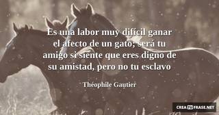 Es una labor muy difícil ganar el afecto de un gato; será tu amigo si siente que eres digno de su amistad, pero no tu esclavo