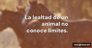 La lealtad de un animal no conoce límites.