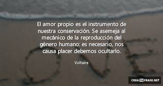 El amor propio es el instrumento de nuestra conservación. Se asemeja al mecánico de la reproducción del género humano: es necesario, nos causa placer debemos ocultarlo.