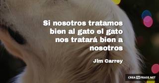 Si nosotros tratamos bien al gato el gato nos tratará bien a nosotros