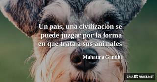 Un país, una civilización se puede juzgar por la forma en que trata a sus animales
