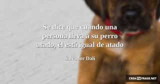 Se dice que cuando una persona lleva a su perro atado, él está igual de atado