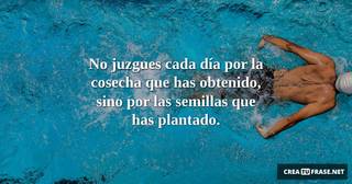 No juzgues cada día por la cosecha que has obtenido, sino por las semillas que has plantado.