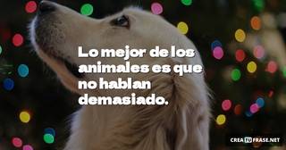 Lo mejor de los animales es que no hablan demasiado.