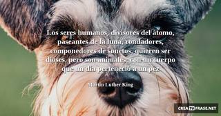 Los seres humanos, divisores del átomo, paseantes de la luna, rondadores, componedores de sonetos, quieren ser dioses, pero son animales, con un cuerpo que un día perteneció a un pez