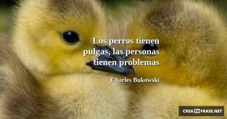 Los perros tienen pulgas, las personas tienen problemas