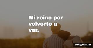 Mi reino por  volverte a ver.