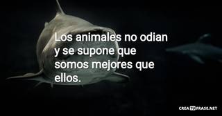 Los animales no odian y se supone que somos mejores que ellos.
