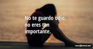 No te guardo odio, no eres tan importante.