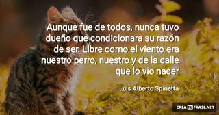Aunque fue de todos, nunca tuvo dueño que condicionara su razón de ser. Libre como el viento era nuestro perro, nuestro y de la calle que lo vio nacer