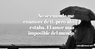 No se cuando me enamore de ti, pero ahí estaba. El amor mas imposible del mundo