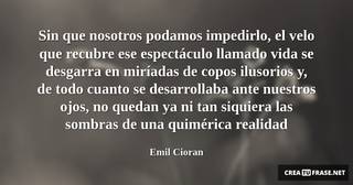 Sin que nosotros podamos impedirlo, el velo que recubre ese espectáculo llamado vida se desgarra en miríadas de copos ilusorios y, de todo cuanto se desarrollaba ante nuestros ojos, no quedan ya ni tan siquiera las sombras de una quimérica realidad