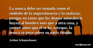 La mosca debe ser tomada como el símbolo de la impertinencia y la audacia; porque en tanto que los demás animales le huyen al hombre más que a otra cosa, y corren antes que él se les acerque, la mosca se posa sobre su nariz misma