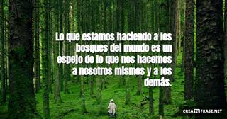 Lo que estamos haciendo a los bosques del mundo es un espejo de lo que nos hacemos a nosotros mismos y a los demás.