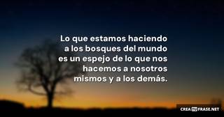 Lo que estamos haciendo a los bosques del mundo es un espejo de lo que nos hacemos a nosotros mismos y a los demás.