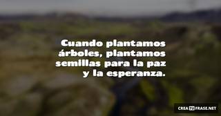 Cuando plantamos árboles, plantamos semillas para la paz y la esperanza.