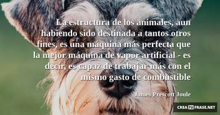 La estructura de los animales, aun habiendo sido destinada a tantos otros fines, es una máquina más perfecta que la mejor máquina de vapor artificial - es decir, es capaz de trabajar más con el mismo gasto de combustible