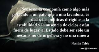 Piense en la economía como algo más parecido a un gato que a una lavadora, es decir, las políticas dirigidas a la estabilidad y la ausencia de ciclos están fuera de lugar, el Estado debe ser sólo un mecanismo de urgencia y no una niñera