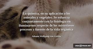 La química, en su aplicación a los animales y vegetales. Se esfuerza conjuntamente con la fisiología en iluminarnos respecto de los misteriosos procesos y fuentes de la vida orgánica