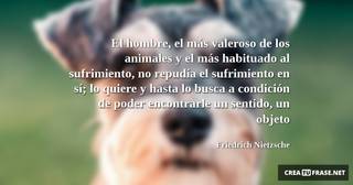 El hombre, el más valeroso de los animales y el más habituado al sufrimiento, no repudía el sufrimiento en sí; lo quiere y hasta lo busca a condición de poder encontrarle un sentido, un objeto