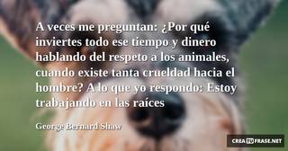 A veces me preguntan: ¿Por qué inviertes todo ese tiempo y dinero hablando del respeto a los animales, cuando existe tanta crueldad hacia el hombre? A lo que yo respondo: Estoy trabajando en las raíces