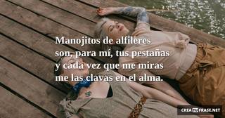 Manojitos de alfileres son, para mí, tus pestañas y cada vez que me miras me las clavas en el alma.