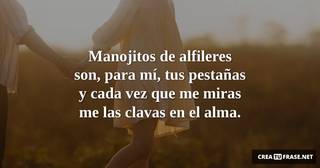Manojitos de alfileres son, para mí, tus pestañas y cada vez que me miras me las clavas en el alma.