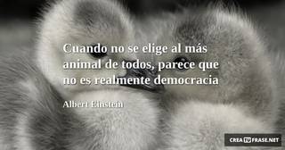Cuando no se elige al más animal de todos, parece que no es realmente democracia