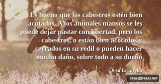 Es bueno que los cabestros estén bien acotados. A los animales mansos se les puede dejar pastar con libertad, pero los cabestros, o están bien acotados y cerrados en su redil o pueden hacer mucho daño, sobre todo a su dueño