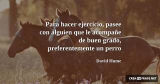 Para hacer ejercicio, pasee con alguien que le acompañe de buen grado, preferentemente un perro