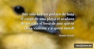 Soy sólo hoy un pedazo de luna el rasgo de una playa el arañazo de un gato el beso de uno que se creía violento y a quien mordí