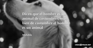 Dicen que el hombre es un animal de costumbres, más bien de costumbre el hombre es un animal