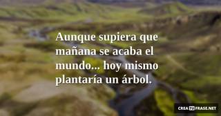 Aunque supiera que mañana se acaba el mundo... hoy mismo plantaría un árbol.