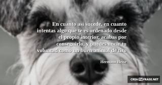 En cuanto así sucede, en cuanto intentas algo que te es ordenado desde el propio interior, acabas por conseguirlo, y puedes uncir tu voluntad como un buen animal de tiro
