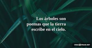 Los árboles son poemas que la tierra escribe en el cielo.