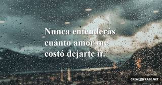 Nunca entenderás cuánto amor me costó dejarte ir.