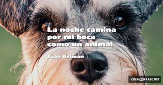 La noche camina por mi boca como un animal
