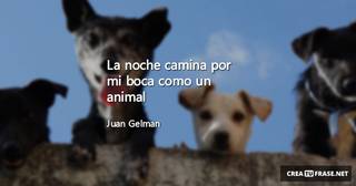La noche camina por mi boca como un animal