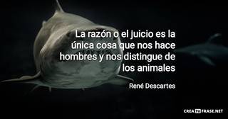 La razón o el juicio es la única cosa que nos hace hombres y nos distingue de los animales