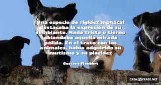 Una especie de rigidez monacal destacaba la expresión de su semblante. Nada triste o tierno ablandaba aquella mirada pálida. En el trato con los animales, había adquirido su mutismo y su placidez