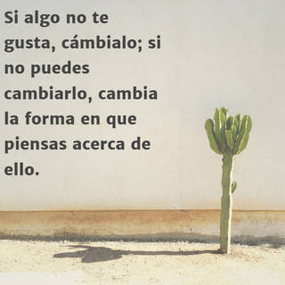 Si algo no te gusta, cámbialo; si no puedes cambiarlo, cambia la forma en que piensas acerca de ello.