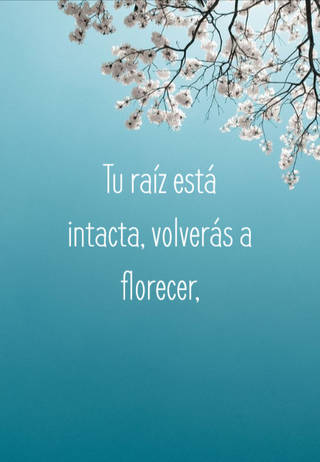 Tu raíz está intacta, volverás a florecer,