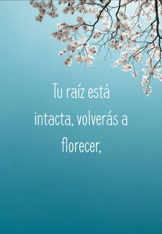 Crea Tu Frase – Frase #336614: Tu raíz está intacta, volverás a florecer,