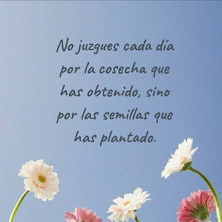 No juzgues cada día por la cosecha que has obtenido, sino por las semillas que has plantado.